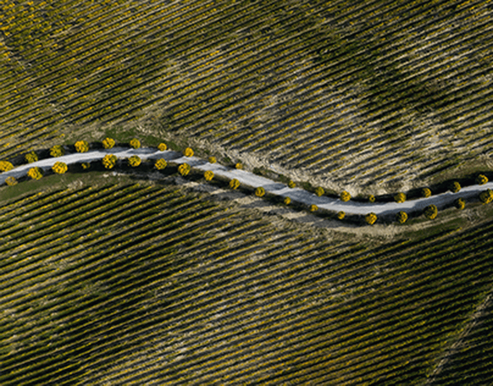 В Смоленской области 41-летняя женщина на электросамокате протаранила иномарку