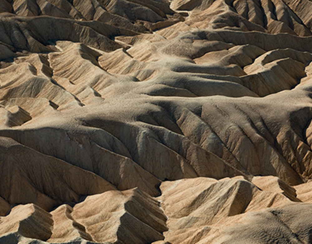 Смольный отменил хэллоуин-фестиваль Некрокомиккон после многочисленных жалоб